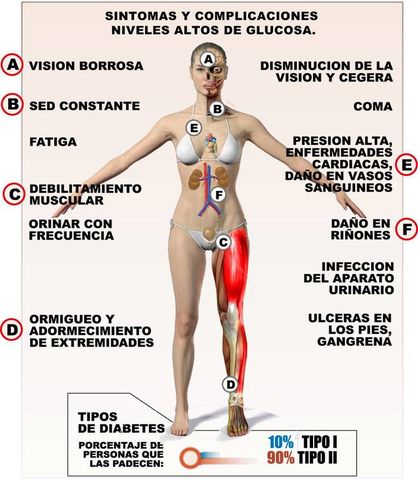 Sin Nombre